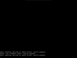 Common Installation Errors in Kali Linux on Virtual Machines
